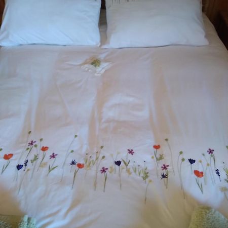 Les Dames De La Saugiat Bed & Breakfast Le Fied Exterior photo